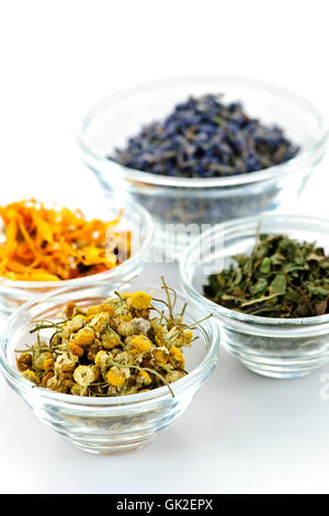 buds alternative herbs Stock Photo