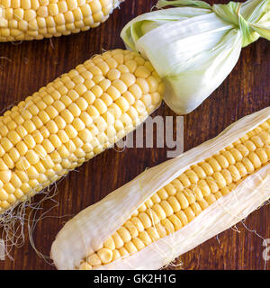 Corn on the Cob (Maize) Stock Photo