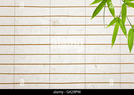 leaves bamboo sheet of paper Stock Photo
