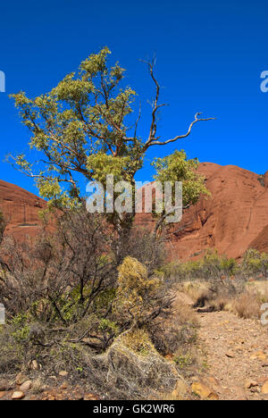 blue beautiful beauteously Stock Photo