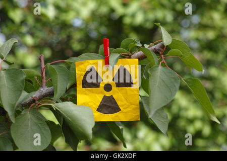 Radiation warning sign hanging on a tree. Close up. Concept image.