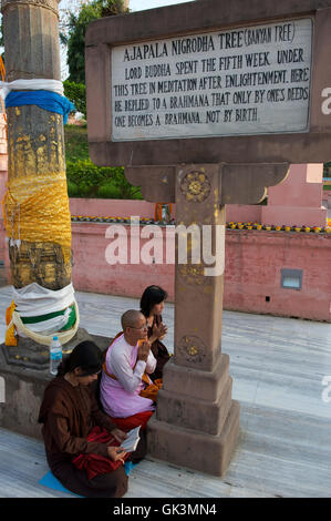 08 Mar 2012, North-Central India, India --- Mahabodhi Temple, Bodh Gaya, Bihar, India --- Image by © Jeremy Horner Stock Photo