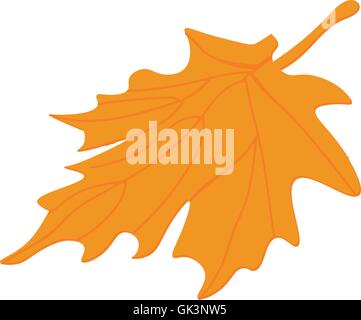 Maple leaf vector. Autumn leaves. Tree leaves vector. Fall leaf isolated. Stock Vector