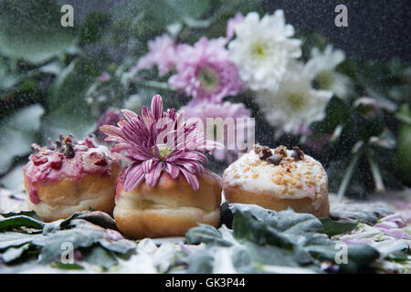three doughnuts with flowers on top, surrounded in leafs and flower background Stock Photo