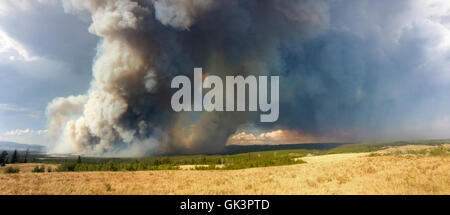 Smoke rises from the Maple wildfire part of the Buffalo Complex fires burning in Yellowstone National Park August 14, 2016 near Gneiss Creek trail, Wyoming. Stock Photo