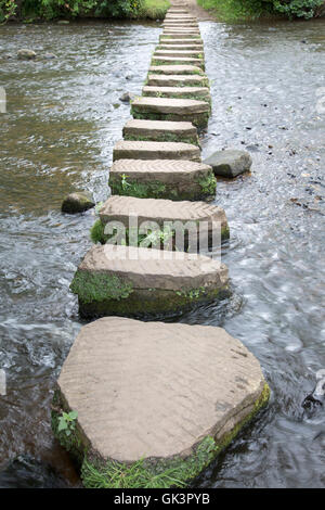 Stepping Stones, Lealholm, North York Moors, Yorkshire, England, UK Stock Photo