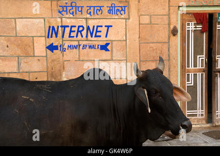 2009, Jodhpur, India --- Cow and internet sign in Jodhpur's old town --- Image by © Jeremy Horner Stock Photo