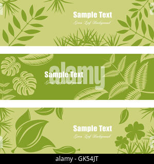 leaf ecology frame Stock Photo