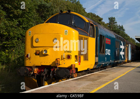 Northern / Arriva Rail North Heritage livery Class 37 diesel locomotive owned by Direct Rail Services - The mainline at Barrow in Furness BIF station. Stock Photo