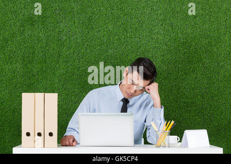 Grassland business men using laptop Stock Photo