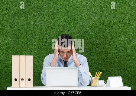 Grassland business men using laptop Stock Photo