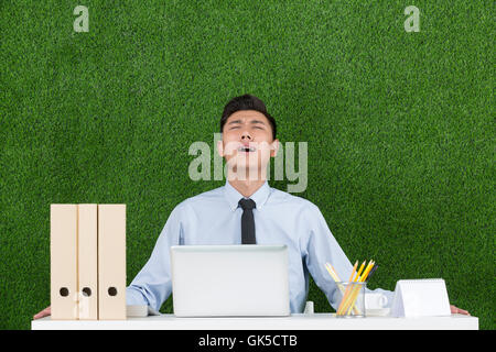 Grassland business men using laptop Stock Photo