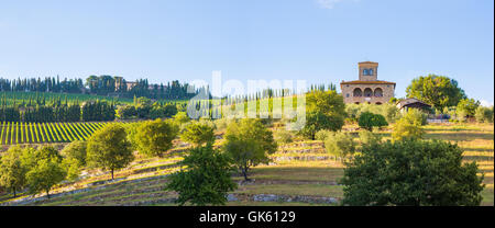 Siena province, Italy - August 6, 2016: Vineyards of the Castello di Albola estate in the Chianti region. Stock Photo