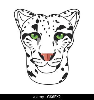 Wild cat face, snow bars head. Vector Stock Vector