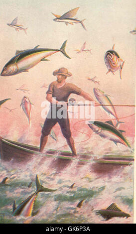 Flying Fish Distance Flying fish, known for their ability to leap out of the water and glide ...