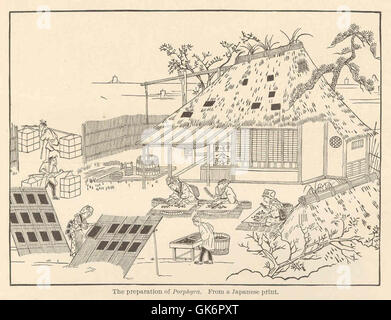 41747 Preparation of Porphyra From a Japanese Print Stock Photo