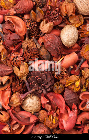 Dried plants, herbs and yellow rose flower petals in a grey, dirty clay  pot. Wiccan witch altar with ingredients on it ready to make cast a spell  Stock Photo - Alamy