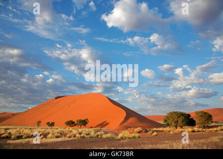 desert wasteland namibia Stock Photo