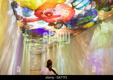 Naples Florida,Artis-Naples complex,Baker Museum,Naples Museum of Art,art,exhibit exhibition collection Dale Chihuly,glass,installation,Persian Ceilin Stock Photo