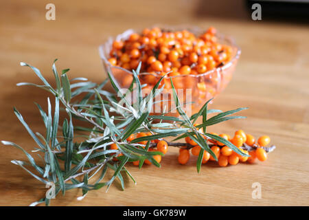 branches berries sallow thorn Stock Photo