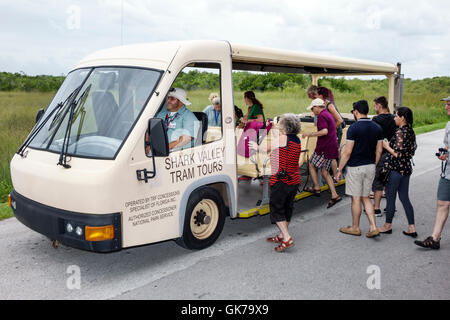 Florida,South,Tamiami Trail,Florida Everglades,Everglades National Park,Shark Valley,tropical wetland,environment,habitat,ecosystem,tour,tram,adult ad Stock Photo