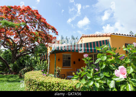 Miami Beach Florida,single-family home,house houses home houses homes residence,exterior,garden,hibiscus,bush,Royal Poinciana,tree trees,flower flower Stock Photo