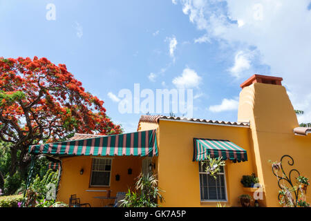 Miami Beach Florida,single-family home,house houses home houses homes residence,exterior,garden,hibiscus,bush,Royal Poinciana,tree trees,flower flower Stock Photo