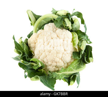 isolated vegetable cauliflower Stock Photo