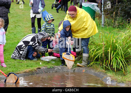 Green Man Festival, Wales, UK August 2016. Rain falls on Day 2 of the Green Man music festival at Crickhowell, Powys - Youngsters enjoy the chance to do some supervised pond dipping beside the festival lawns. Over 25,000 music fans are due to attend over the weekend. Stock Photo