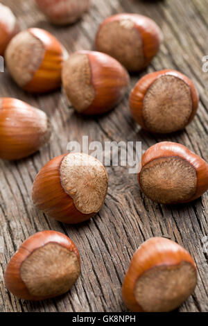 food, aliment, shell, nut, filbert, hazelnut, seed, snack, healthy ...