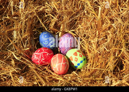 easter nest easter egg Stock Photo