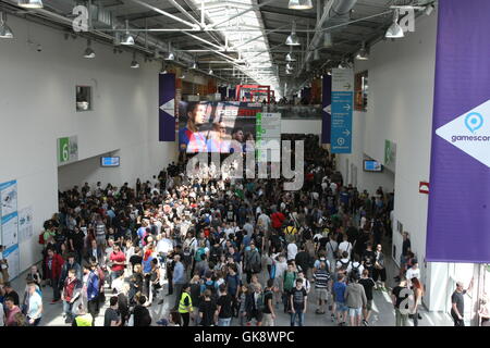 Cologne, Germany. 18th Aug, 2016. Many Visitors on the First Day of the Gamescom. Gamescom the Worlds largest Gaming Fair. Gamescom is a trade fair for video games held annually at the Koelnmesse in Cologne. It is organised by the BIU. Credit:  Maik Boenisch/Pacific Press/Alamy Live News Stock Photo