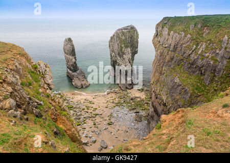 Elegug Stacks covered with nesting guillemots in the Pembrokeshire Coast National Park, Wales, UK Stock Photo