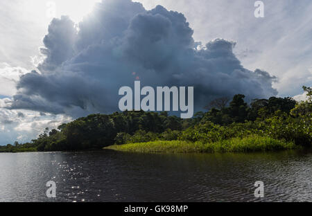 Storm clouds gathering in the Amazons. Yasuni National Park, Ecuador, South America. Stock Photo