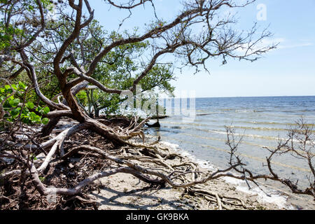 Bradenton Florida,Manatee River water,National Park Service,De Soto National Memorial,1539,Hernando de Soto landing,Spanish conquest,landmark,beach be Stock Photo