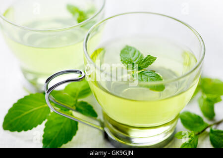tea mint green Stock Photo