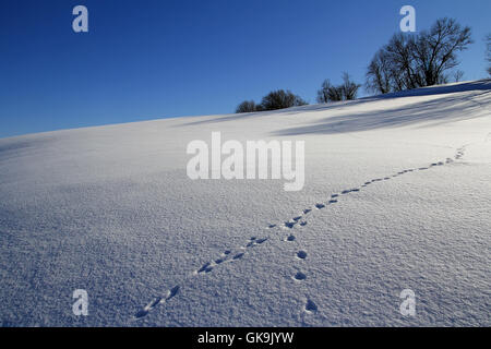 winter sense loneliness Stock Photo