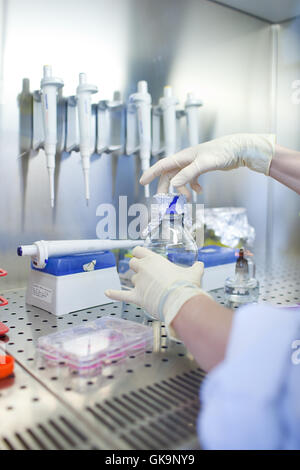 experiment science research Stock Photo