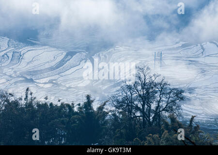 China Yunnan Wan Feng Lin Titian Stock Photo