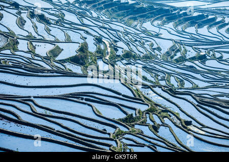 China Yunnan Wan Feng Lin Titian Stock Photo