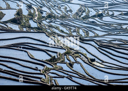 China Yunnan Wan Feng Lin Titian Stock Photo