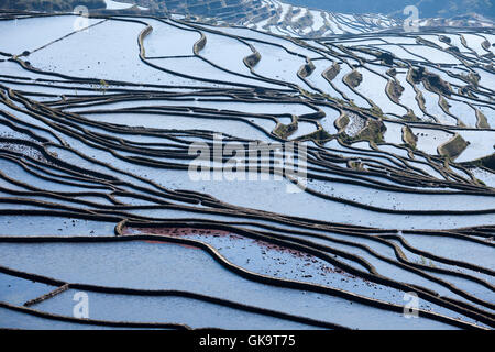 China Yunnan Wan Feng Lin Titian Stock Photo