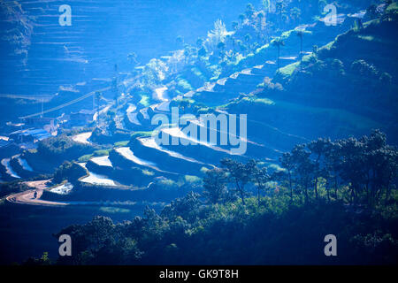 China Yunnan Wan Feng Lin Titian Stock Photo