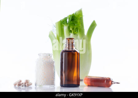 fennel plant healing herbal medicine Stock Photo