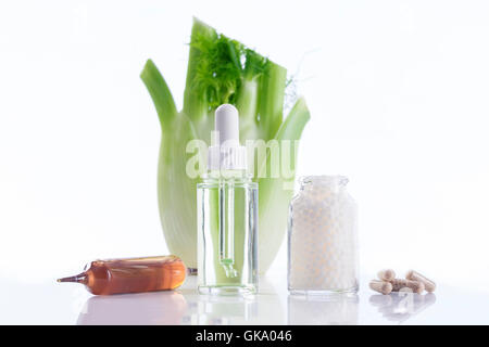 fennel plant healing herbal medicine Stock Photo