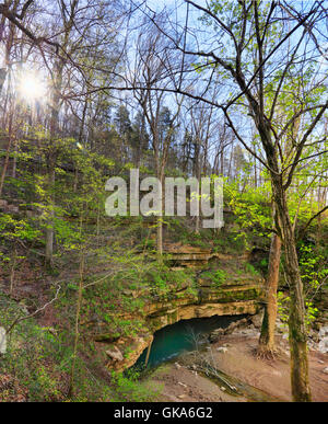 River Styx Spring, River Styx Spring Trail, Mammoth Cave National Park, Park City, Kentucky, USA Stock Photo
