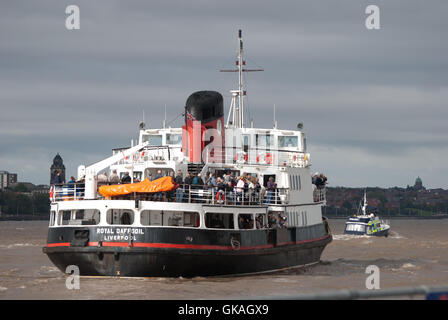 Royal Daffodil Liverpool Ferry Stock Photo