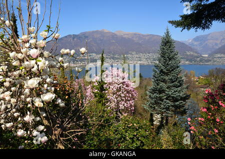 mountains switzerland exposition Stock Photo