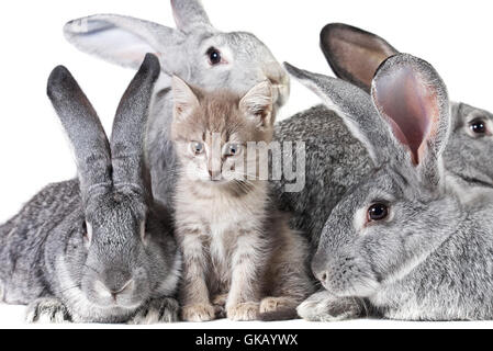 household holiday vacation Stock Photo