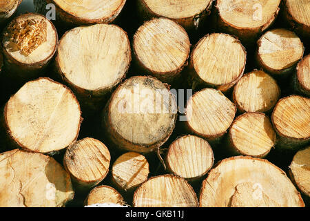 board desk isolated Stock Photo